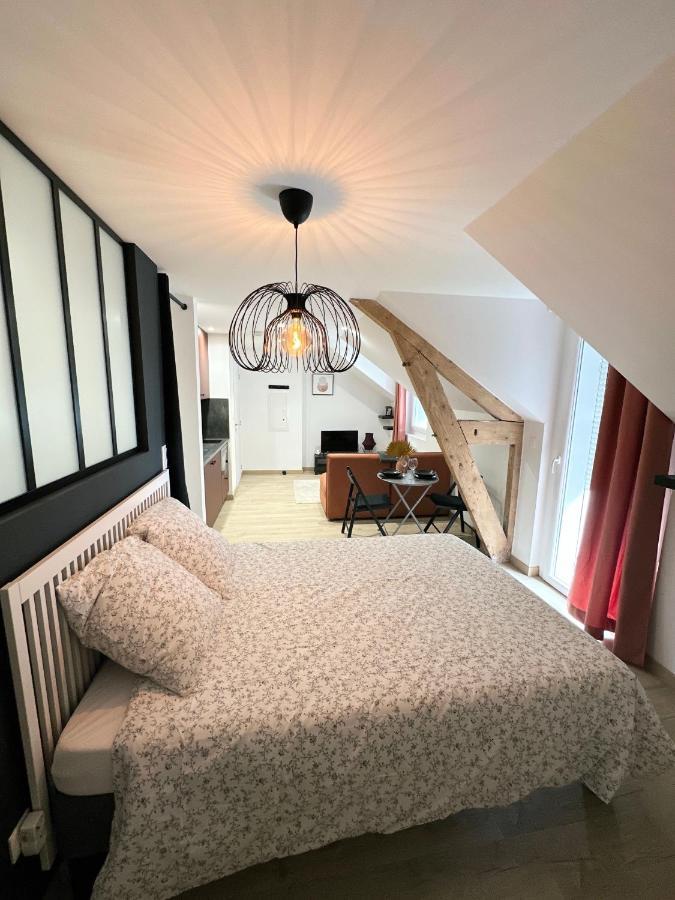 Sacre Appartement/Jardin/Parking/Wifi 로데즈 외부 사진